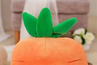 Fruits Carrot Soft Toy Stuffed Animal Plush Teddy Gift For Kids Girls Boys Love3329
