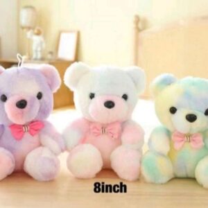 Baby Rainbow Teddy LCTD Toys