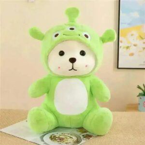 Hoddy Teddy Bear