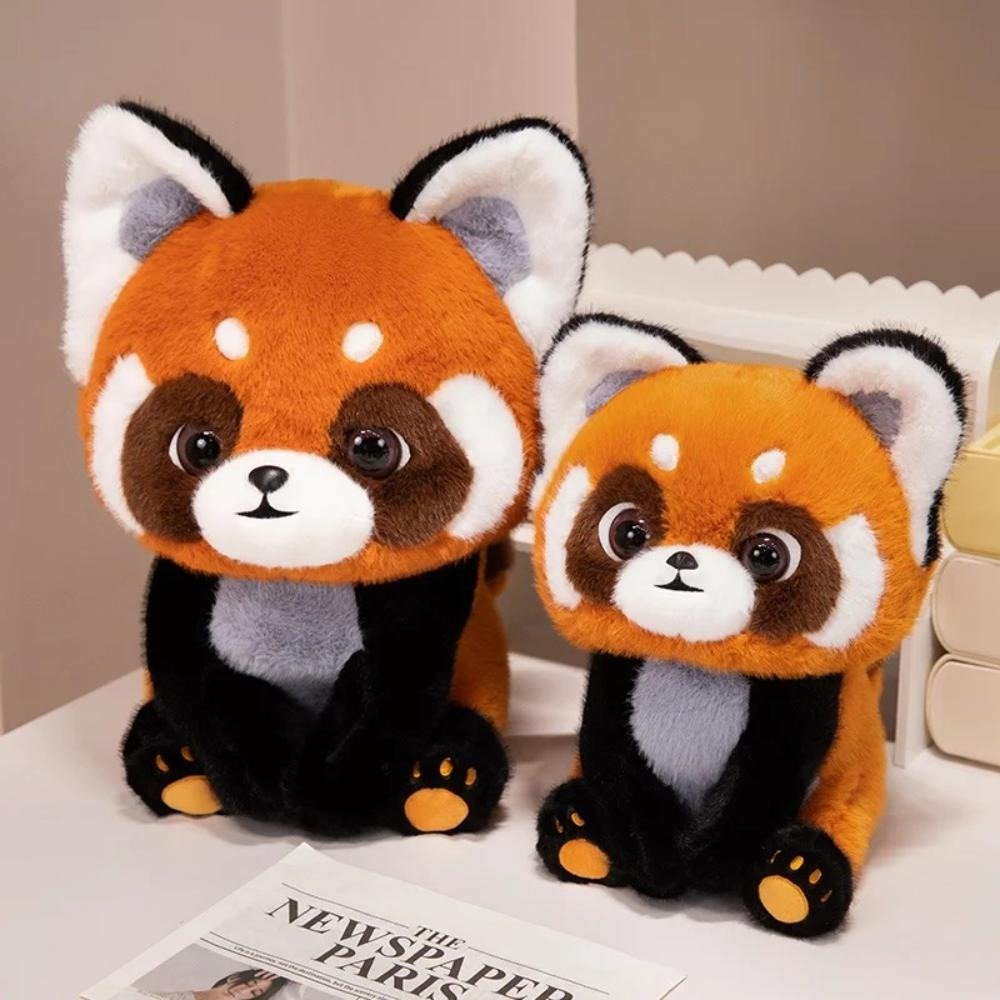 Rocky Racoon - Image 2
