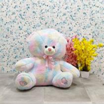 Rainbow Teddy Bear Soft Toy Stuffed Animal Plush Teddy Gift For Kids Girls Boys Love4103