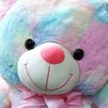 Rainbow Teddy Bear Soft Toy Stuffed Animal Plush Teddy Gift For Kids Girls Boys Love4095